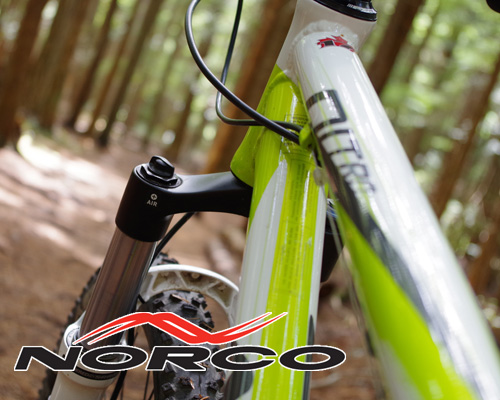 Norco bike on Powell River local trail